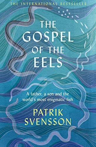 The Gospel of the Eels cover